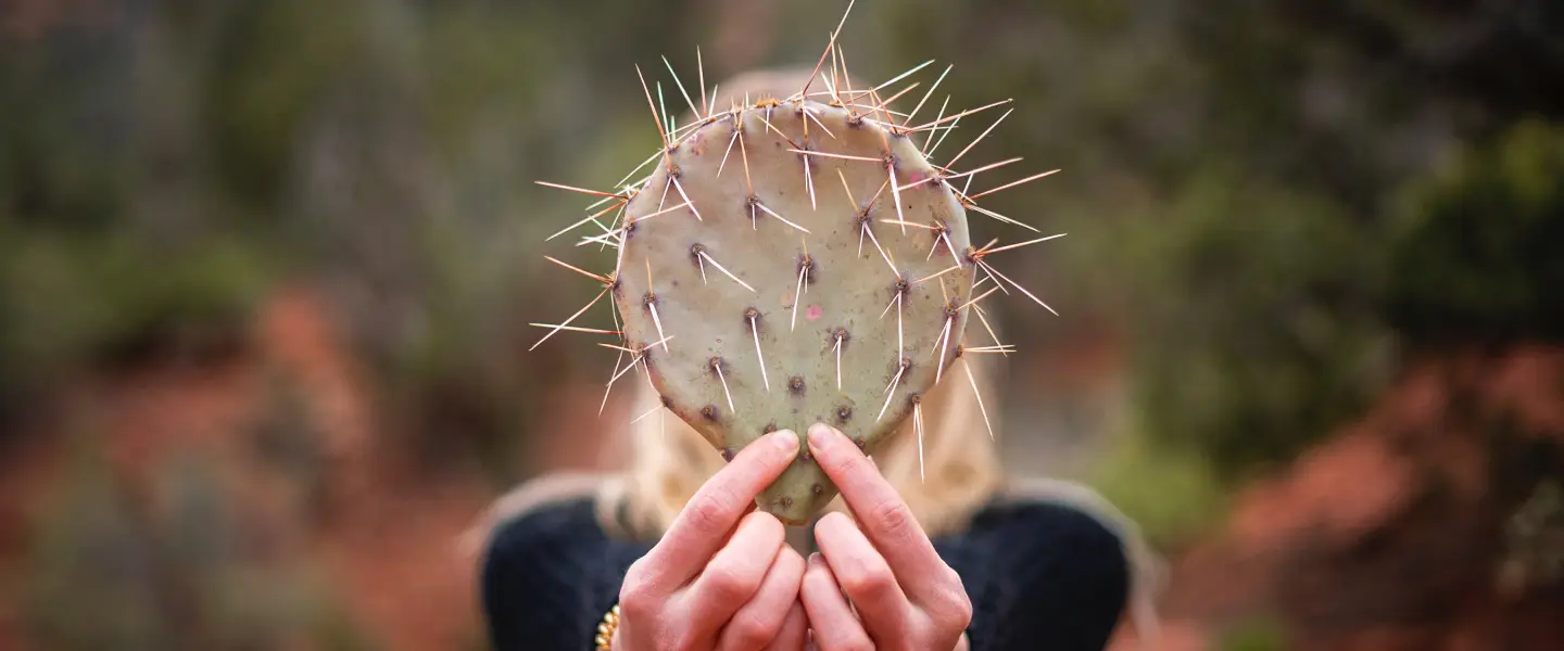 Тест на геморрой
